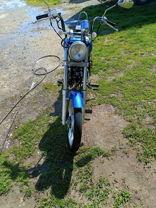 Kinroad XT50 Q łoś