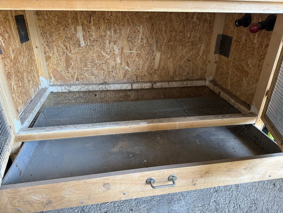 Брудер, для обігріву курчат, птиці