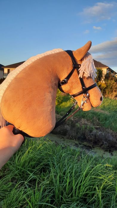 Hobby horse a4 izabelowaty
