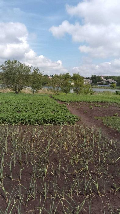 Продам будинок в Солоному  Дніпропетровської області