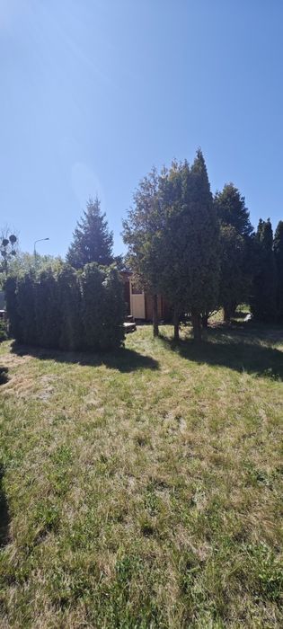 Działka ROD 335m² | Poznań | ROD Mostostal - Widok 2