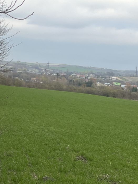 Продаж земельної ділянки в м. Мостиська