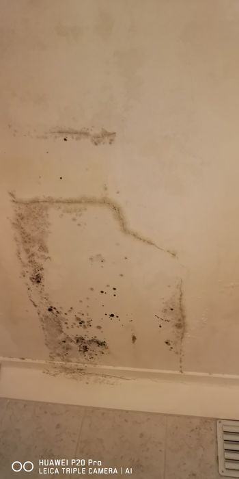 Pintor de construção civil