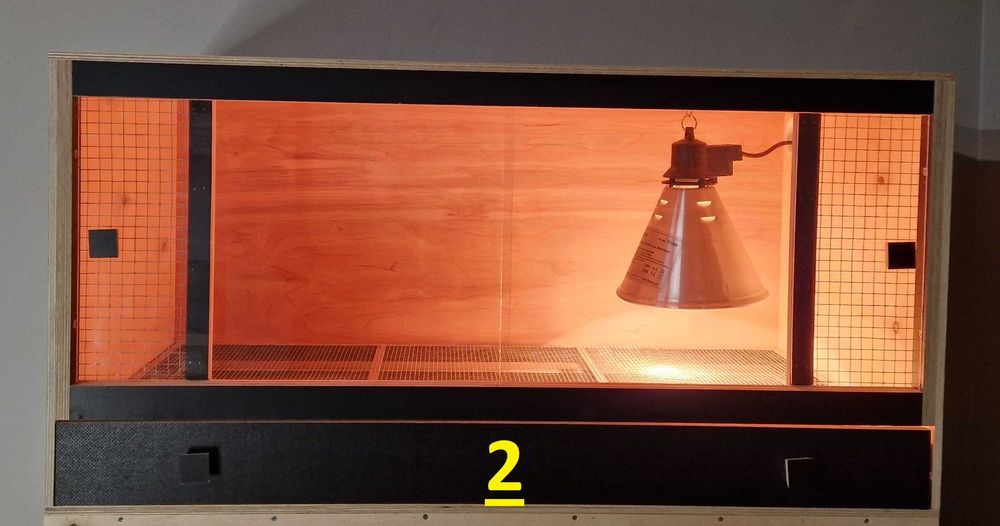 Odchowalnik piskląt, cieplarka, odchowalnia drobiu