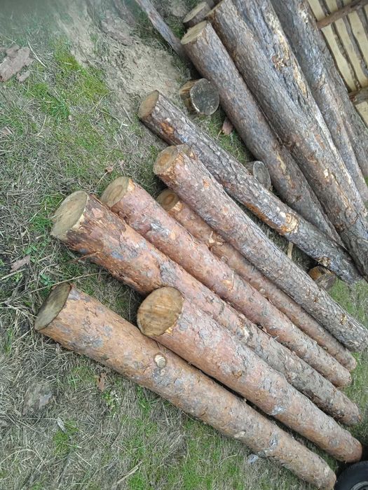 Drewno opałowo-kominkowe