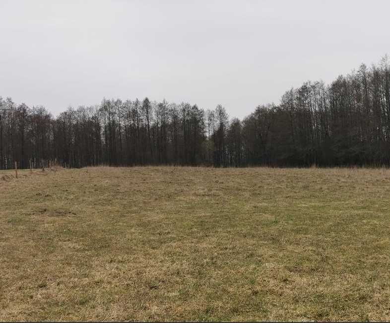 Ziemia rolna 2,0277 ha