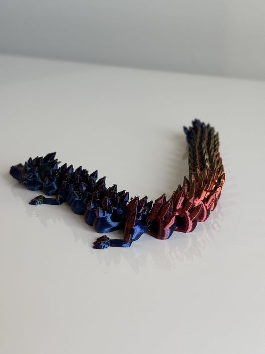Dragao multicolor