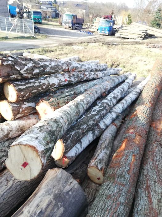 Drewno kominkowe i opałowe