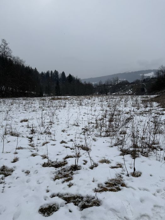 Кривопілля гори Карпати, Верховинщина