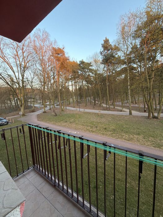Mieszkanie  2-pokojowe  37 m² | 1. piętro | Balkon z widokiem na park | Czarnków