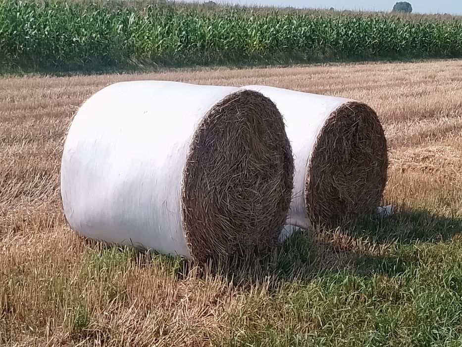 Prasoowijarka Claas Rolland 454 Uniwrap