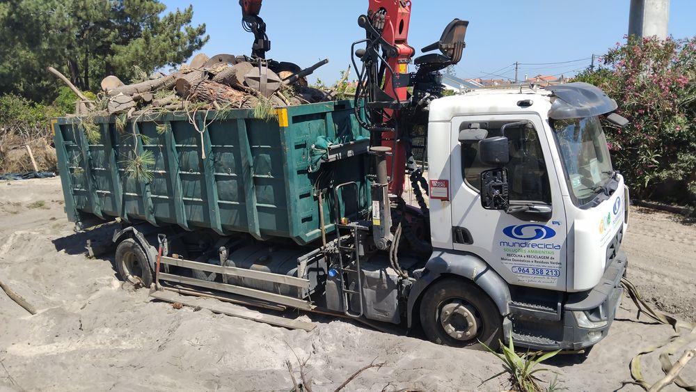 Transporte/Corte de Árvores e Poda de Risco - Atendimento Rápido e Seg