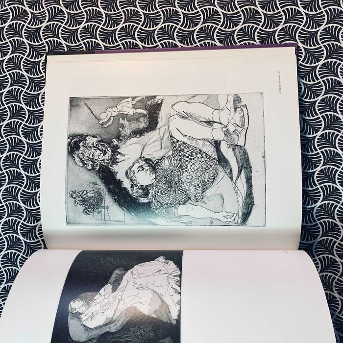 Paula Rego Obra Gráfica Completa (3 vols.) - T. G. Rosenthal