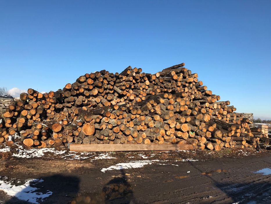 Drewno opałowe DĄB 300zł