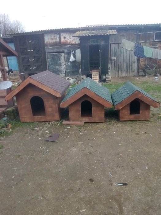 Buda dla psa do wyboru