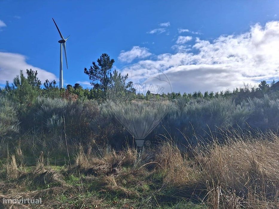 Terreno  para venda — Salzedas, Viseu