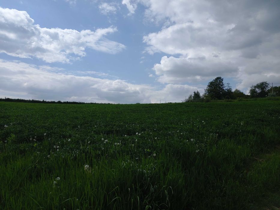 Bele, baloty sianokiszonka z koniczyny oraz traw