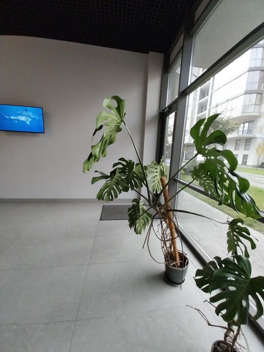 Продам 2к квартиру ЖК Рыбинский, пр. Науки