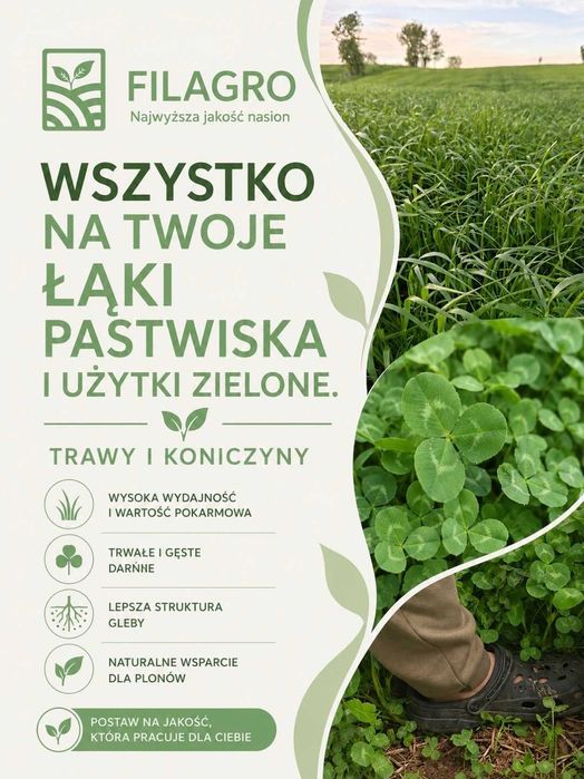 Kwalifikat C1. Mieszanka Traw Na Suche Gleby