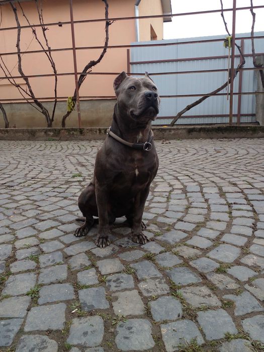 Вязка Стафф вязка