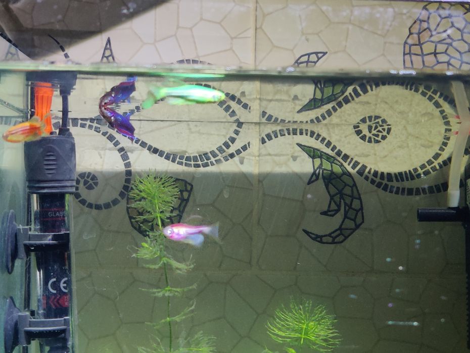 Аквариум 27л полная комплектация