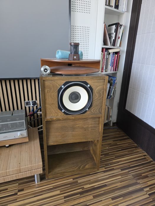 Kolumny wysoko skuteczne Fostex horn FT90H  D266 FP253