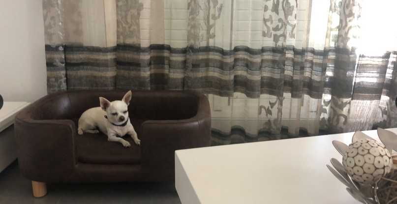 Sofá cama para cães sofá em miniatura 74x48,5x31 cm  NOVO ENVIO GRÁTIS