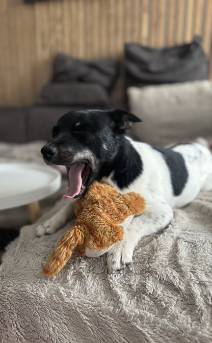 Шукаємо родину для дівчинки