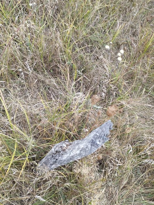 Ділянка 12с садівництво Лукашівка