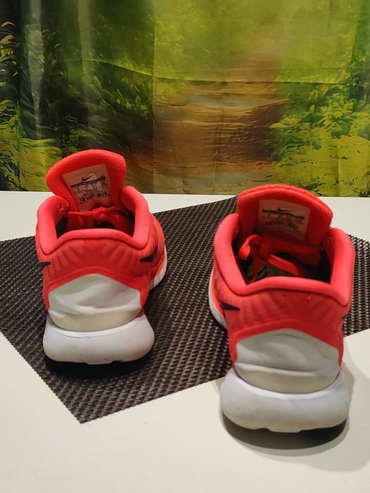 Buty do biegania Nike Free 5.0 r. 41 (26 cm) 724382-600