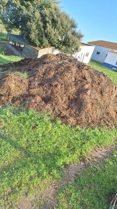 Estrume em BENAVENTE