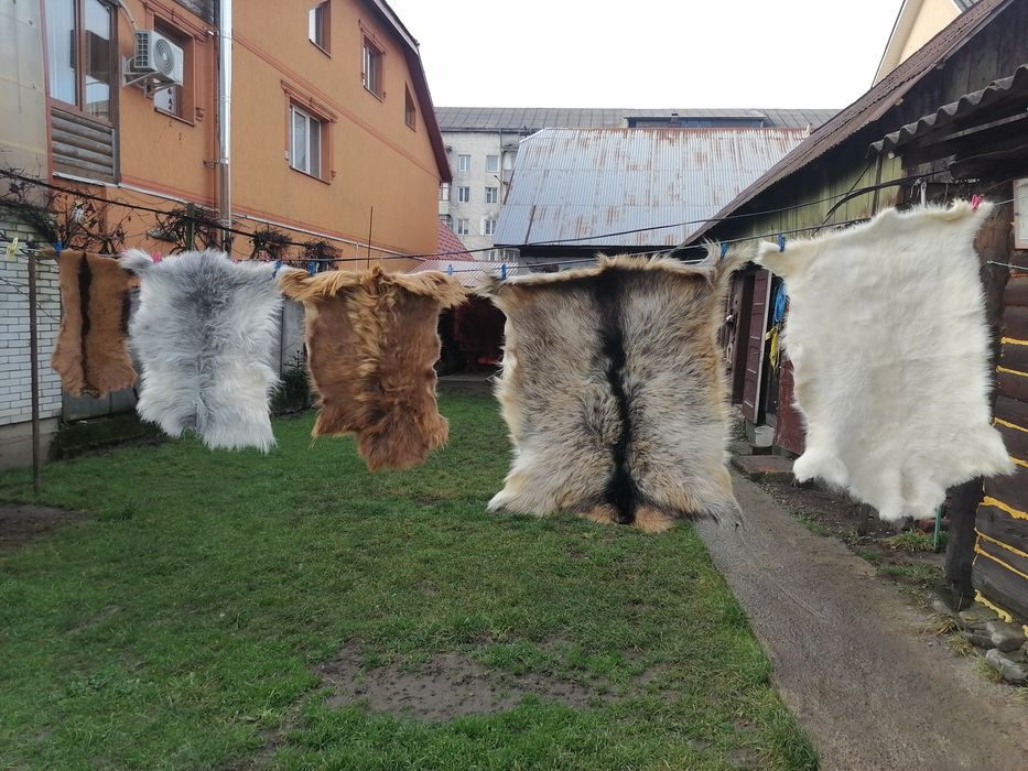 Маленькі шкірки під ноги чи в авто