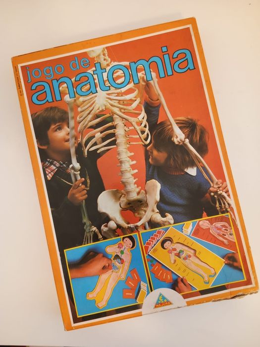 Jogo de Anatomia, antigo 1981,  Majora
