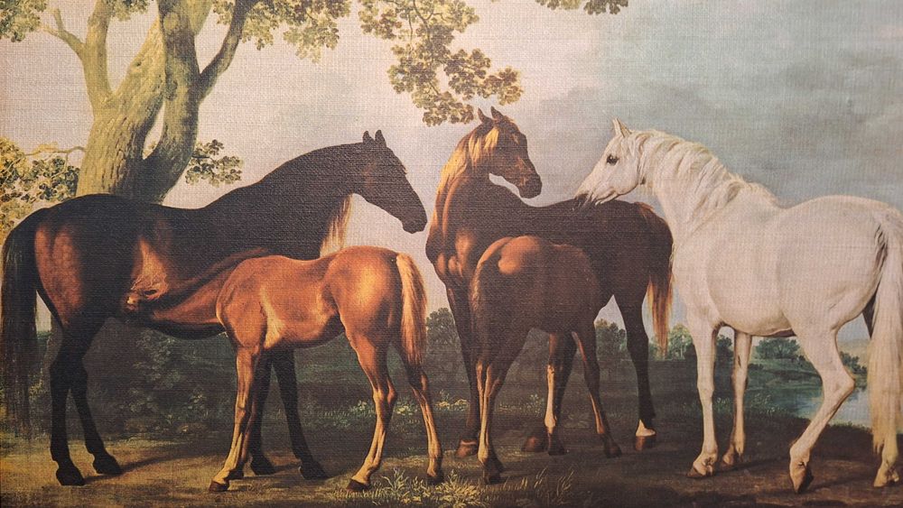 Quadro de parede64332157578754121