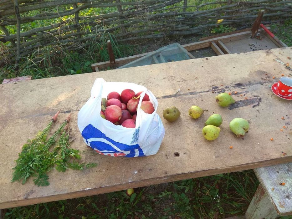 Продажа дачного участка