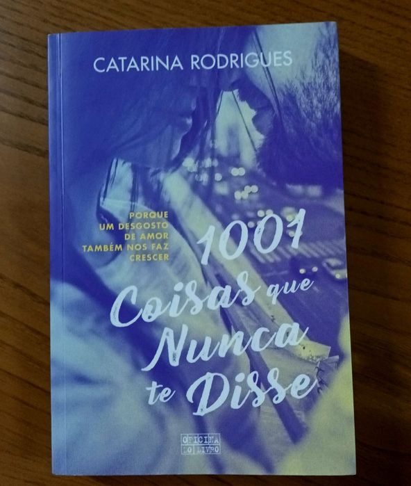 Livro 1001 Coisas que Nunca te Disse