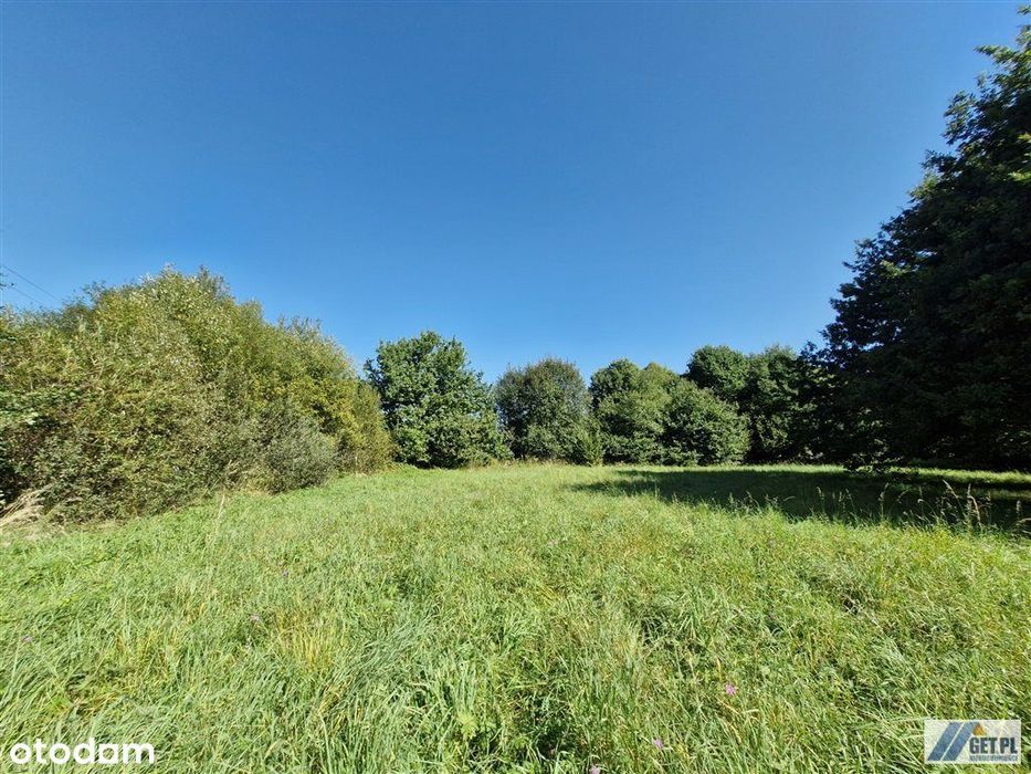 Działka budowlana w zielonym otoczeniu, Radziszów
