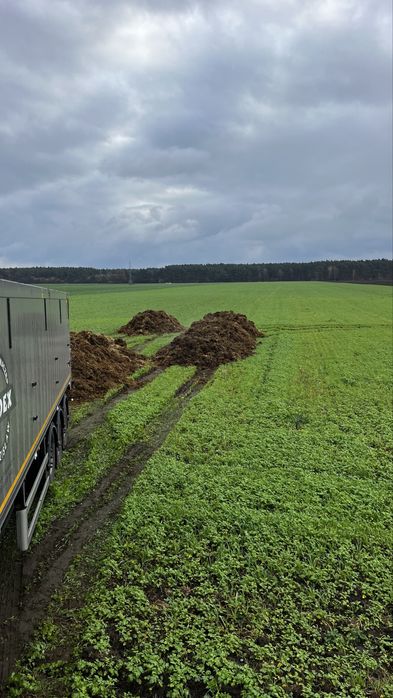 Obornik bydlecy, kurzy 60zł tona.