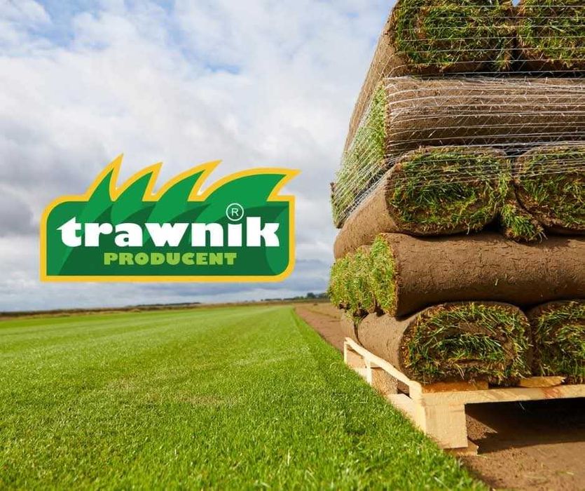 Trawa z rolki Trawnik Producent