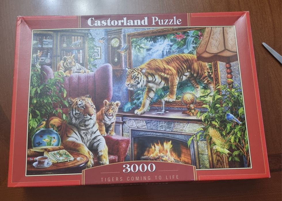 Пазли 3000 елементів.
