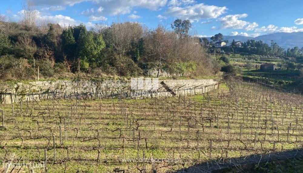 Venda Terreno, Penha Longa, Marco de Canaveses