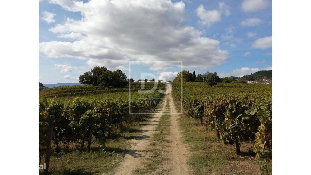 Quinta da Cumeira