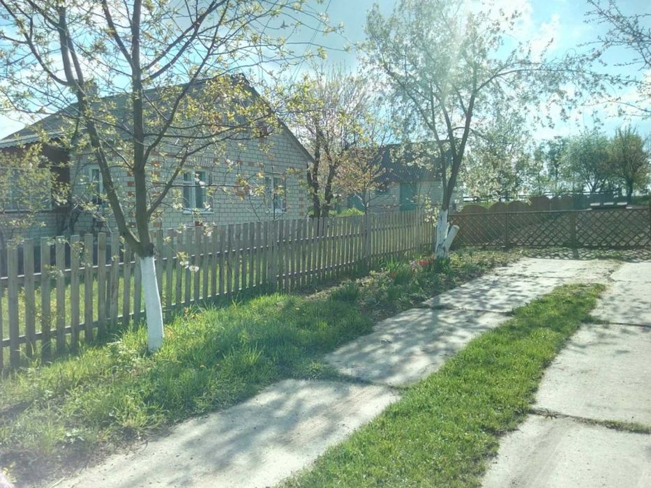 Продам будинок Макарівський район, с.Великий Карашин.Погріб,сад,город