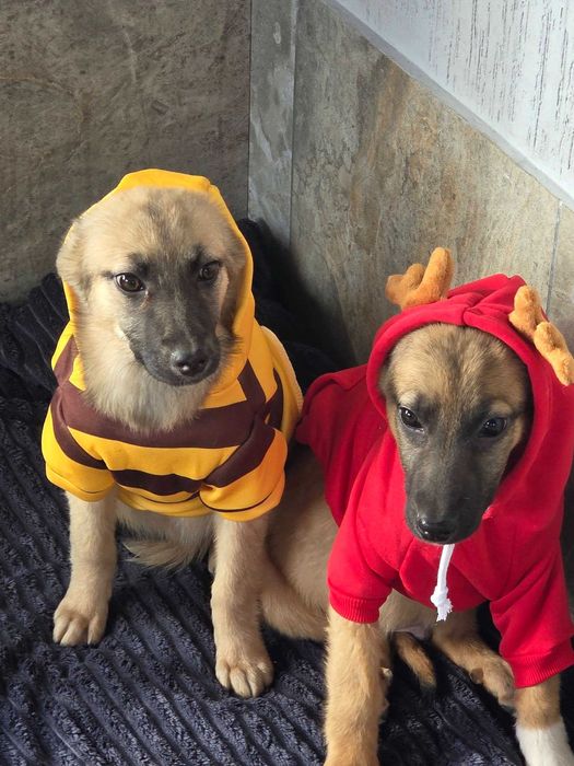 Малыши верят в чудо