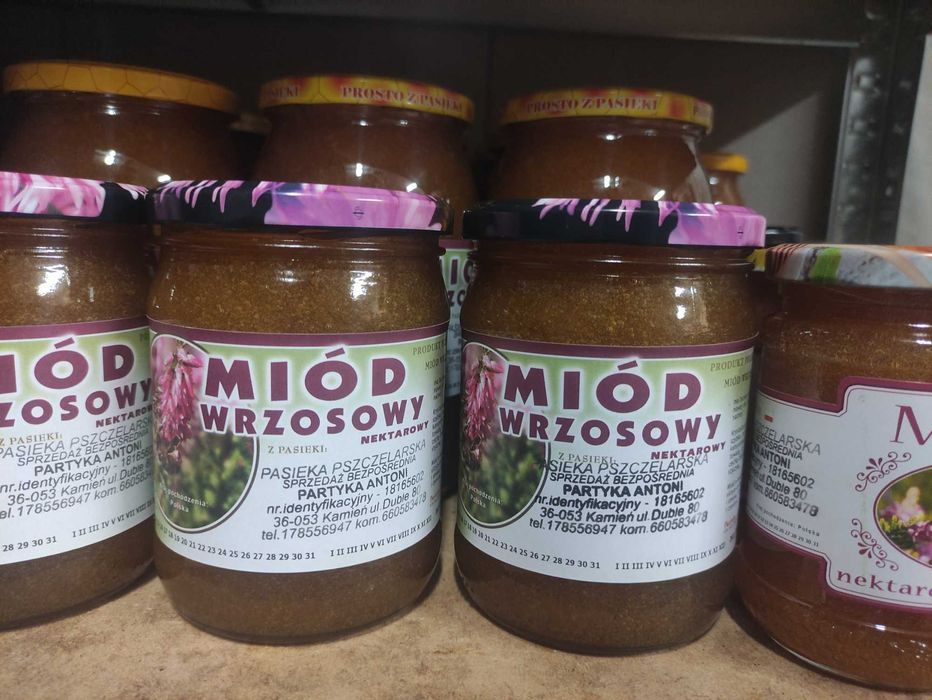 Miód nawłociowy z Podkarpacia