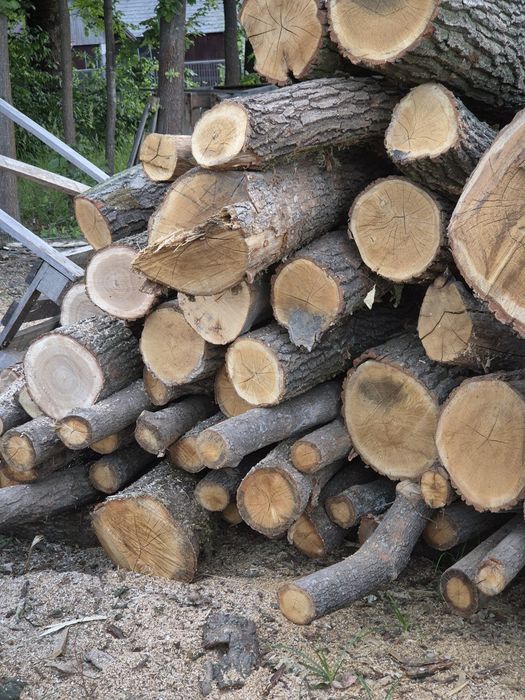 Drewno opałowe  kominkowe Sosna Świerk brzoza buk grab jesion  dąb klo