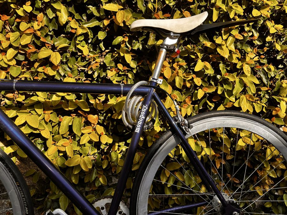 Bicicleta tipo Fixie