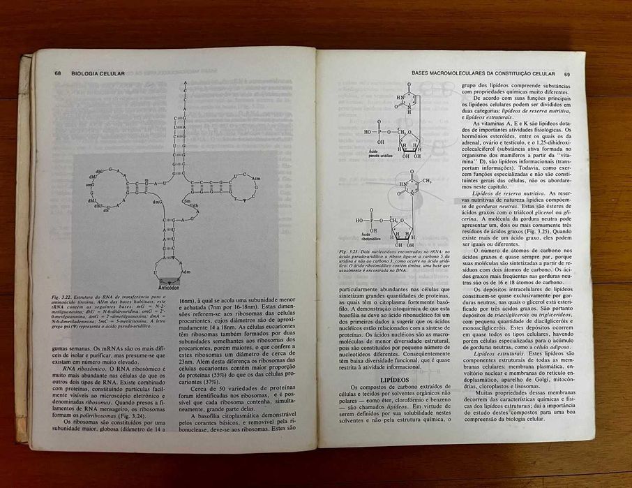 "Biologia Celular e Molecular" de Junqueira Carneiro