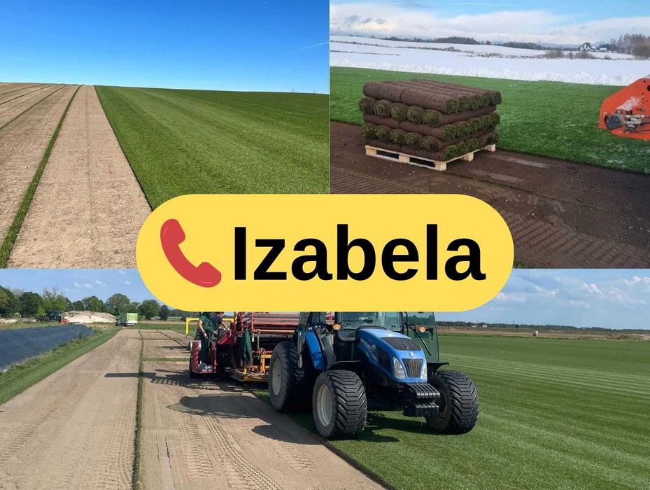 Trawa z rolki PREMIUM 1 gatunek | Szybka dostawa | PRODUCENT