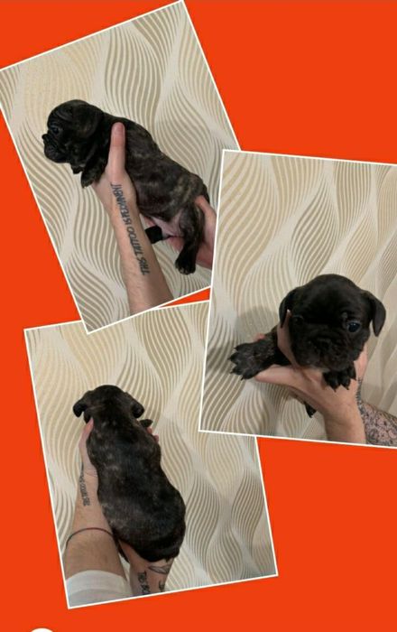 Чудо хлопчики , та дівчатка